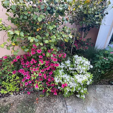 15min Lyon Calme Acces Piscine Jardin Bed & Breakfast Dardilly